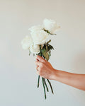 Crisp white roses — Jardin Blanc