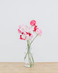Orchids and roses in a designer vase — Opulence