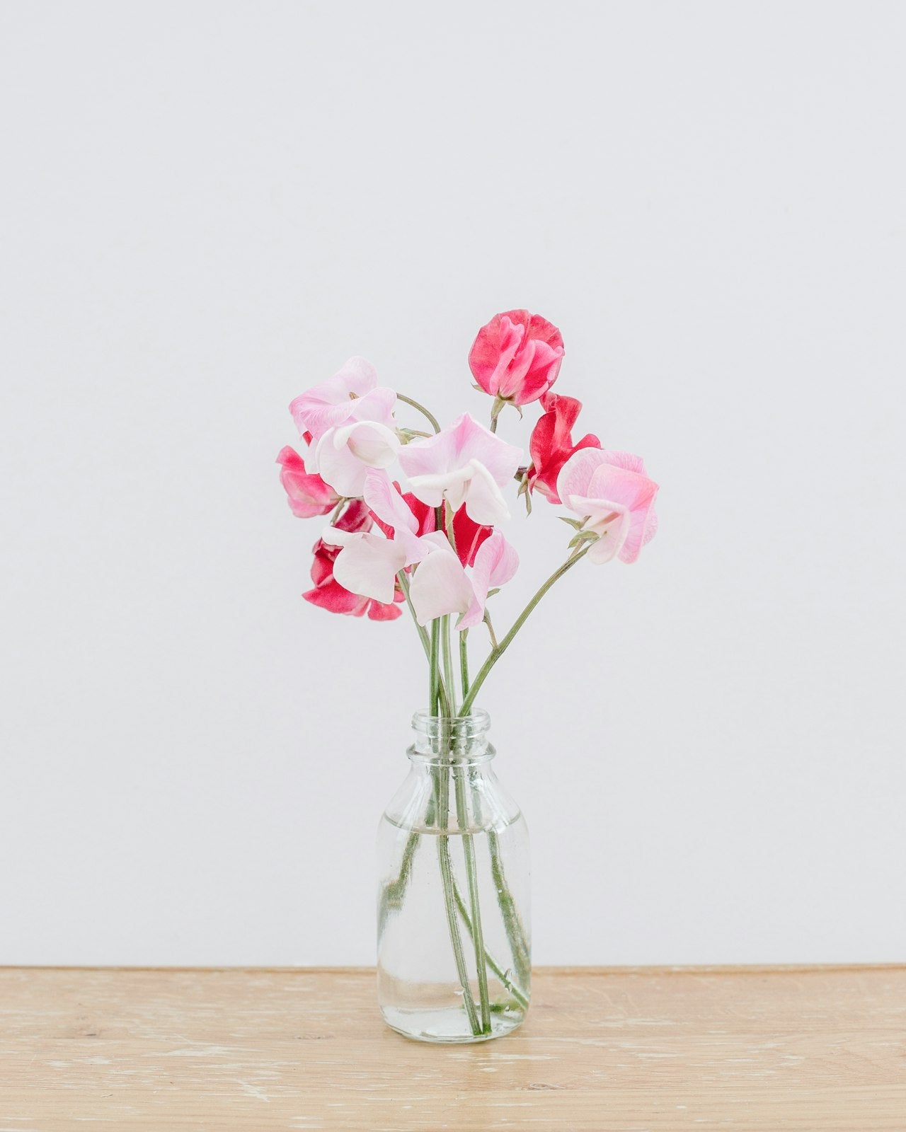 Orchids and roses in a designer vase — Opulence