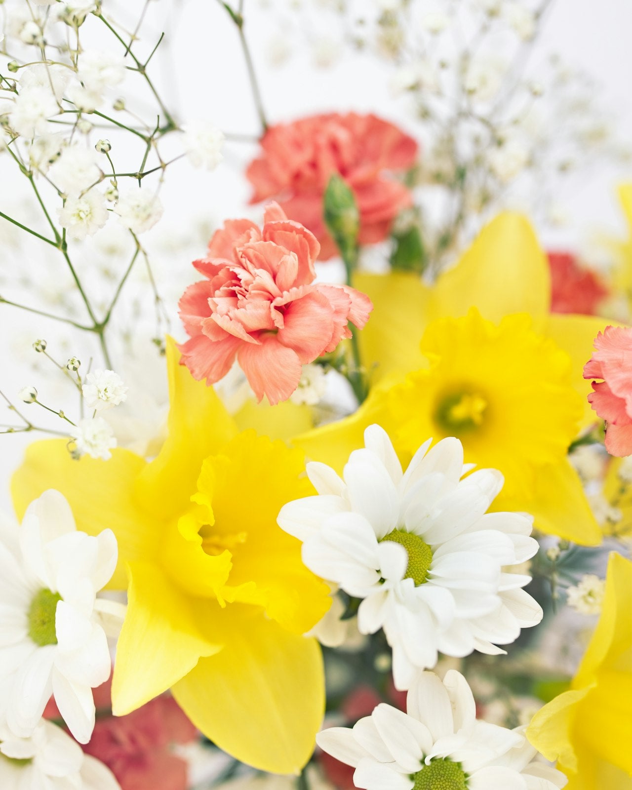 Bright celebration bouquet — Félicitations